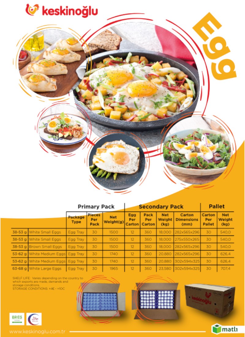 Egg-Export Flyer