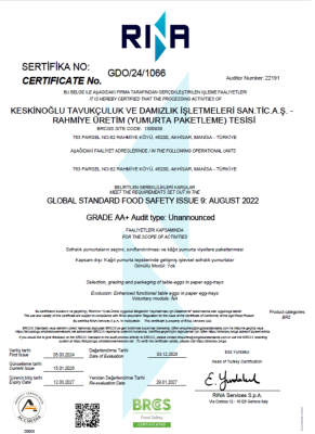 Keskinoglu-egg-brc 2024