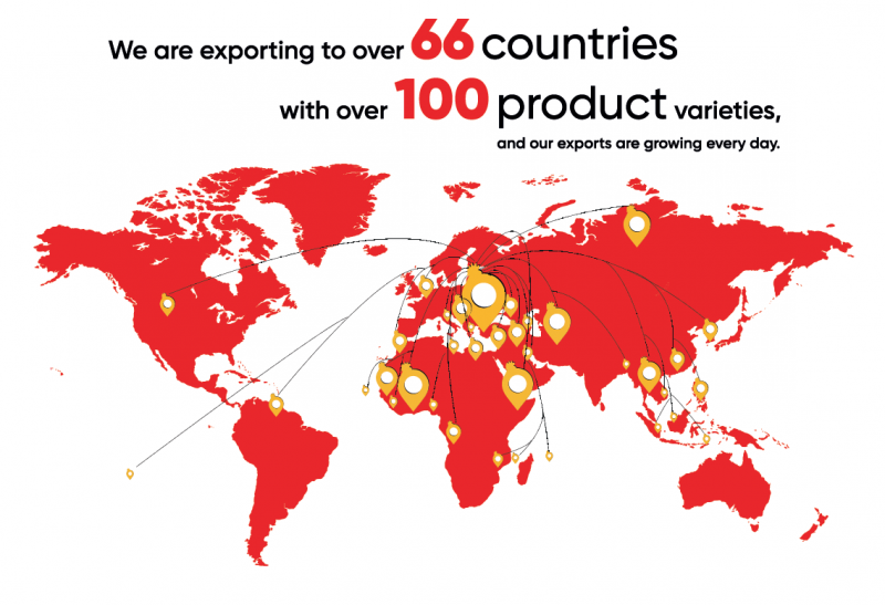 export countries